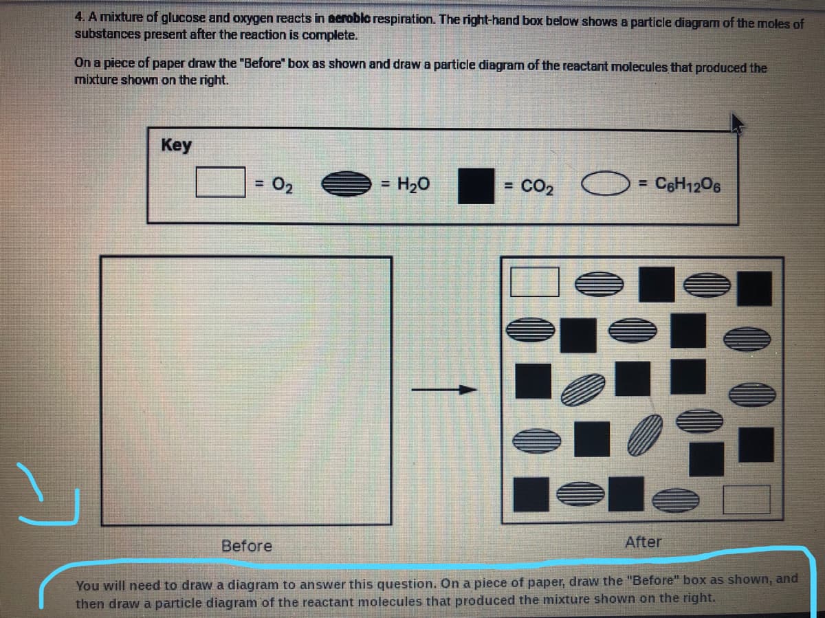 4. A mixture of glucose and oxygen reacts in acroblc respiration. The right-hand box below shows a particle diagram of the moles of
substances present after the reaction is complete.
On a piece of paper draw the "Before" box as shown and draw a particle diagram of the reactant molecules that produced the
mixture shown on the right.
Key
= 02
= H20
= CO2
= CeH1206
%3D
Before
After
You will need to draw a diagram to answer this question. On a piece of paper, draw the "Before" box as shown, and
then draw a particle diagram of the reactant molecules that produced the mixture shown on the right.
