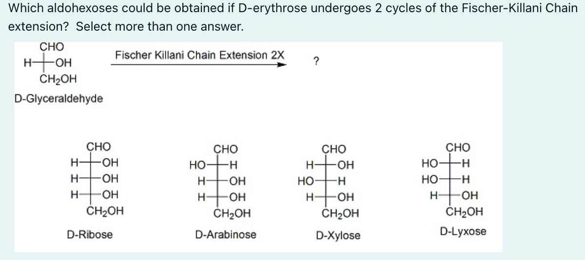 Which aldohexoses could be obtained if D-erythrose undergoes 2 cycles of the Fischer-Killani Chain
extension? Select more than one answer.
CHO
Fischer Killani Chain Extension 2X
HOH
?
CH2OH
D-Glyceraldehyde
推 垂垂 進
CHO
CHO
CHO
CHO
H-
HO-
но-
H-
HO-
но-
H-
O-
HO-
но
H.
но
H-
H-
HO
HO-
OH
ČH2OH
ČH2OH
ČH2OH
ČH2OH
D-Ribose
D-Arabinose
D-Xylose
D-Lyxose
