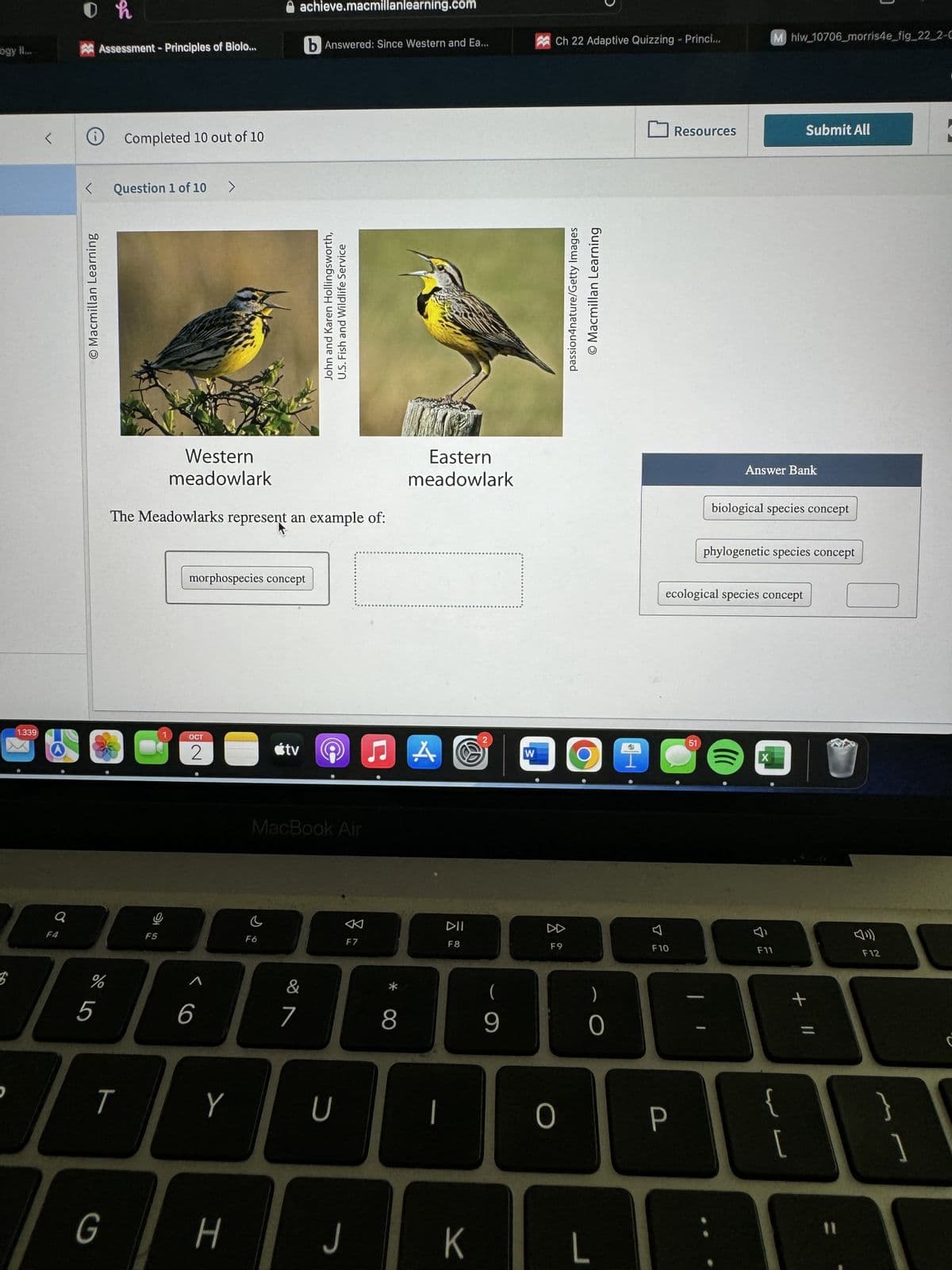 1.339
<
Q
F4
0 h
<
Assessment - Principles of Biolo...
O Macmillan Learning
5
%
Completed 10 out of 10
Question 1 of 10
G
T
C
F5
1
Western
meadowlark
The Meadowlarks represent an example of:
7
6
OCT
2
>
morphospecies concept
^
Y
H
c
achieve.macmillanlearning.com
tv
F6
MacBook Air
b Answered: Since Western and Ea...
&
7
John and Karen Hollingsworth,
U.S. Fish and Wildlife Service
U
F7
J
*
24
JA
8
Eastern
meadowlark
|
DII
F8
K
2
(
9
W
Ch 22 Adaptive Quizzing - Princi...
F9
O
passion4nature/Getty Images
O Macmillan Learning
0
L
7
F10
Resources
P
51
ecological species concept
biological species concept
(((
F
Mhlw_10706_morris4e_fig_22_2-C
Answer Bank
phylogenetic species concept
X
D
F11
Submit All
لا
+ 11
F12
L
L
\
1