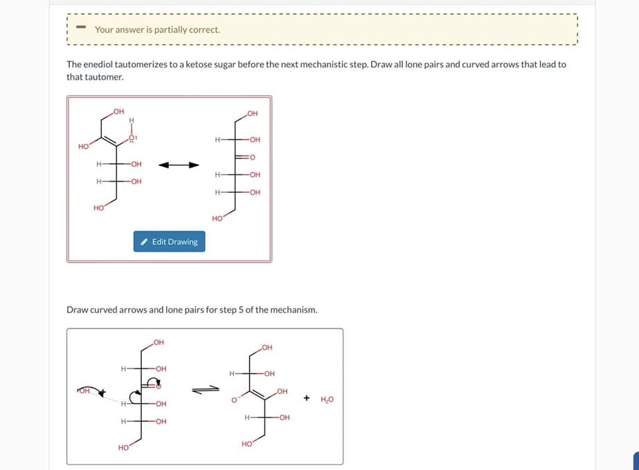 Your answer is partially correct.
The enediol tautomerizes to a ketose sugar before the next mechanistic step. Draw all lone pairs and curved arrows that lead to
that tautomer.
OH
LOH
H-
-OH
HO
O
H
·OH
H-
·OH
H-
-OH
H-
-OH
HO
Edit Drawing
HO
Draw curved arrows and lone pairs for step 5 of the mechanism.
H-
H-
OH
·OH
·OH
H-
-OH
HO
OH
-OH
OH
一季
HO
-OH
+ HO