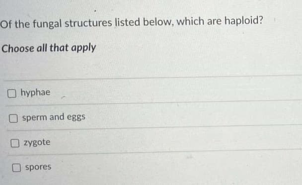 Of the fungal structures listed below, which are haploid?
Choose all that apply
Ohyphae
sperm and eggs
O zygote
spores