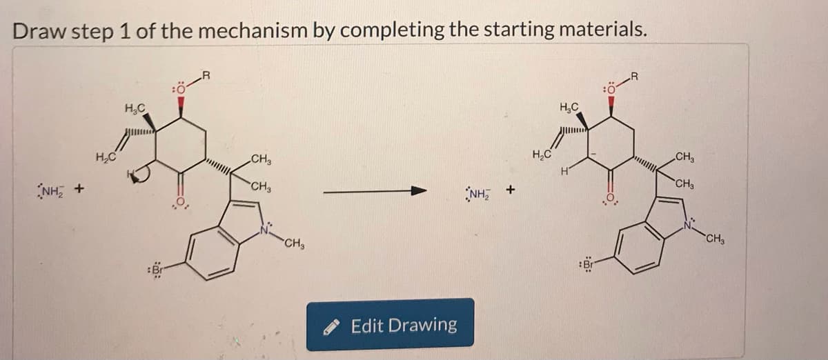 Draw step 1 of the mechanism by completing the starting materials.
H₂C
R
NH +
H₂C
CH3
CH3
CH3
Edit Drawing
H₂C
NH₂
+
H₁₂C
CH3
CH3
CH3