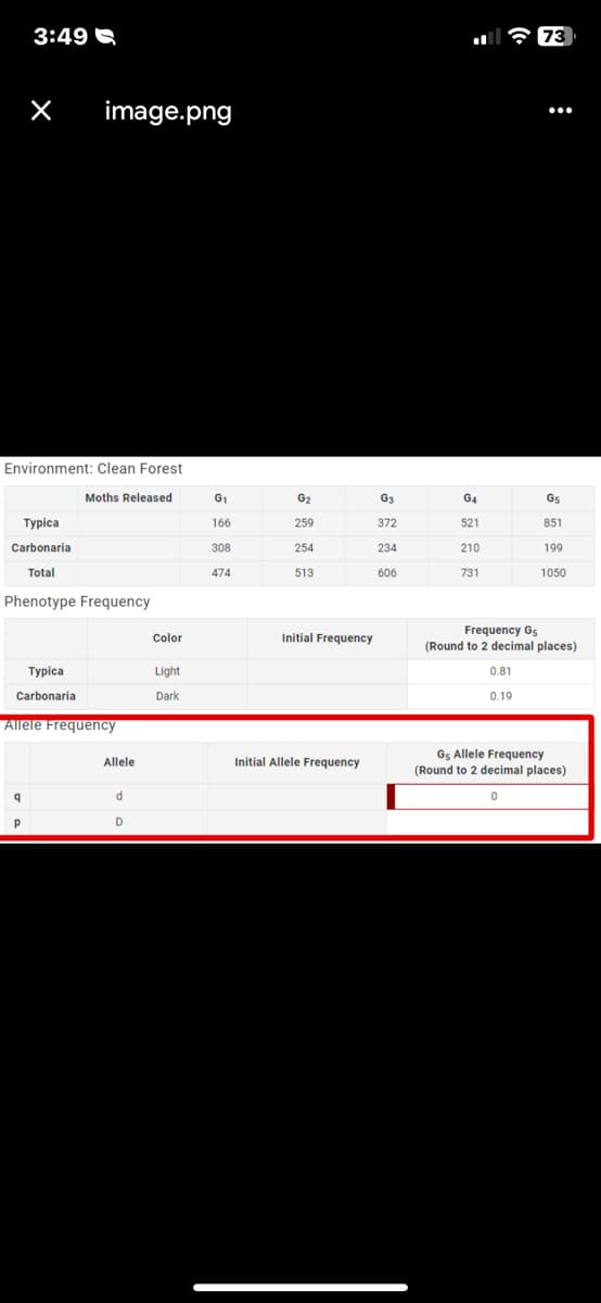 3:49
× image.png
Environment: Clean Forest
Typica
Carbonaria
Total
Phenotype Frequency
Typica
Carbonaria
q
Р
Moths Released
Allele Frequency
Allele
d
D
Color
Light
Dark
G₁
166
308
474
G₂
259
254
513
Initial Frequency
Initial Allele Frequency
G3
372
234
606
G4
521
210
731
73
...
G5
851
199
1050
Frequency G5
(Round to 2 decimal places)
0.81
0.19
Gs Allele Frequency
(Round to 2 decimal places)
0