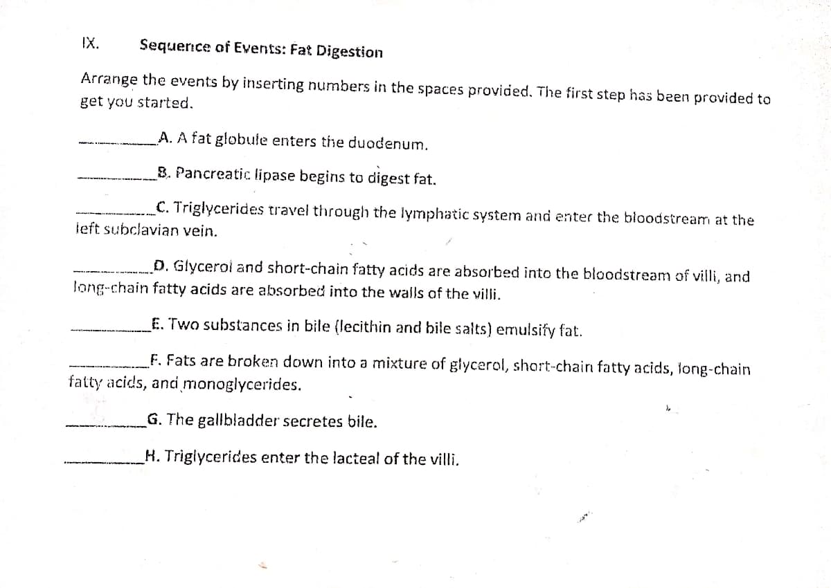 IX.
Sequerice of Events: Fat Digestion
Arrange the events by inserting numbers in the spaces provided. The first step has been provided to
get you started.
A. A fat globule enters the duodenum.
B. Pancreatic lipase begins to digest fat.
C. Triglycerides travel through the lymphatic system and enter the bloodstream at the
ieft subclavian vein.
D. Glycerol and short-chain fatty acids are absorbed into the bloodstream of villi, and
long-chain fatty acids are absorbed into the walls of the villi.
E. Two substances in bile (lecithin and bile salts) emulsify fat.
F. Fats are broken down into a mixture of glycerol, short-chairn fatty acids, long-chain
fatty acids, and monoglycerides.
G. The gallbladder secretes bile.
H. Triglycerides enter the lacteal of the villi.
