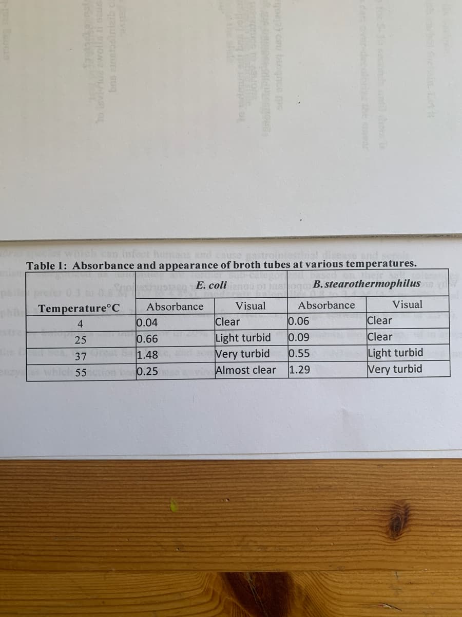 Which can infect hur
Table 1: Absorbance and appearance of broth tubes at various temperatures.
E. colin
B. stearothermophilus
Temperature°C
Absorbance
Visual
Absorbance
Visual
4
0.04
Clear
0.06
Clear
tre
Light turbid
Very turbid
Almost clear
25
0.66
0.09
Clear
Light turbid
Very turbid
37
1.48
0.55
which 55
0.25
1.29
oledzethe mes
he alhe
ive
to edeut et brahell
bras atnstooinieib o
ho leviviue zwolls ti saun
