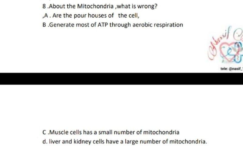 8 .About the Mitochondria ,what is wrong?
„A. Are the pour houses of the cell,
B.Generate most of ATP through aerobic respiration
tele: @nasif
C.Muscle cells has a small number of mitochondria
d. liver and kidney cells have a large number of mitochondria.
