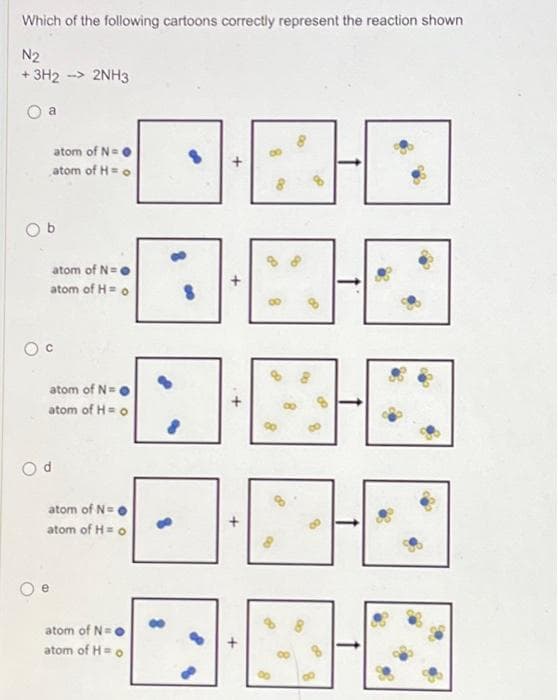 Which of the following cartoons correctly represent the reaction shown
N2
+3H2 --> 2NH3
a
atom of N=
atom of H = o
atom of N=●
atom of H= o
atom of N= ●
atom of H = o
atom of N= ●
atom of H = o
atom of N=●
atom of H = o
8
+
8
8
8
00