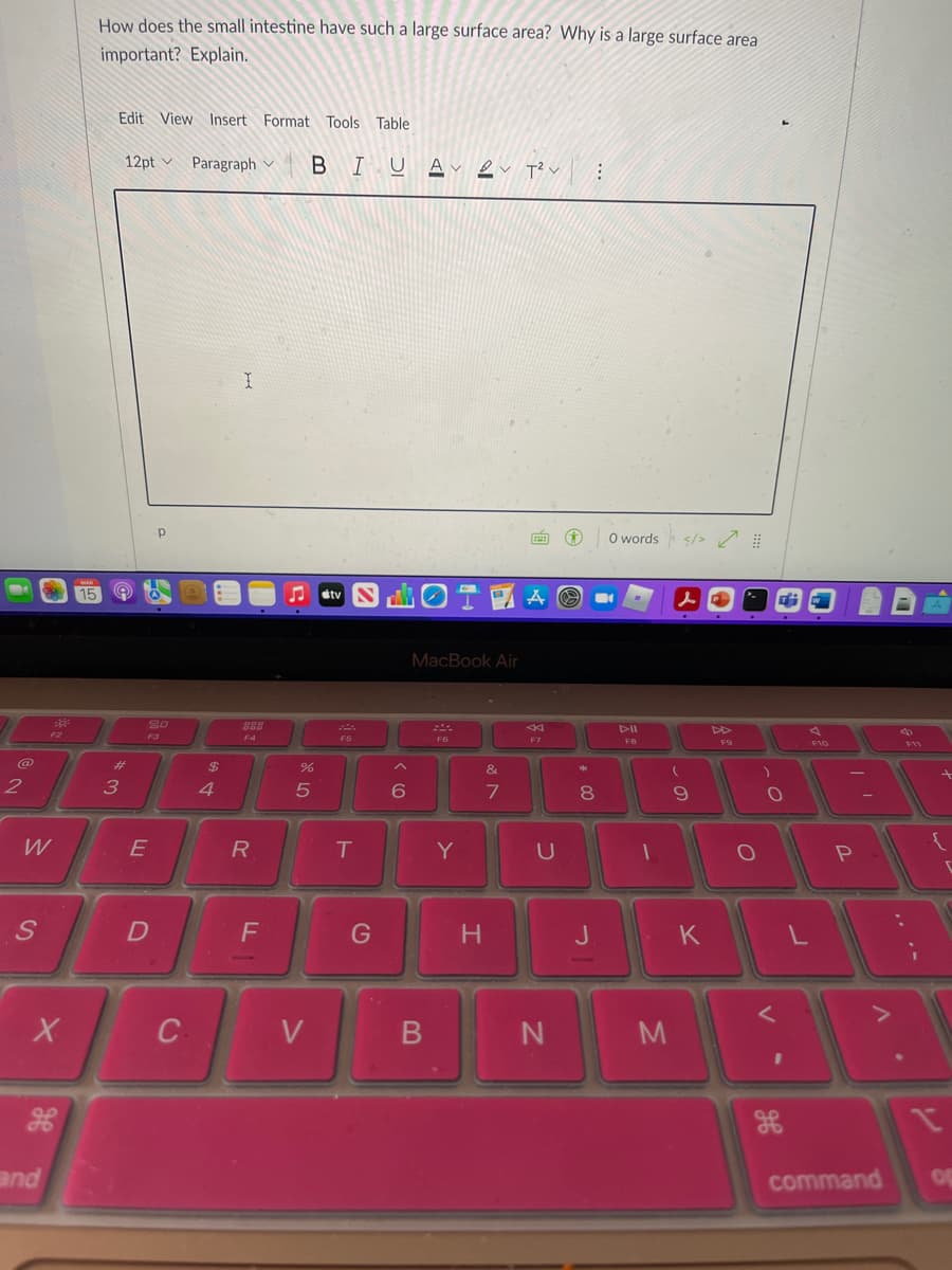 How does the small intestine have such a large surface area? Why is a large surface area
important? Explain.
Edit View Insert Format Tools Table
12pt v Paragraph v
BIUAv ev T?v
O words </> /
15
stv
MacBook Air
80
888
DII
F2
F3
F4
F5
F6
F7
FB
F9
%23
$
&
2
4
7
8
W
E
R
T.
Y
G
H
K
V
and
command
or
.. .-
V
この
