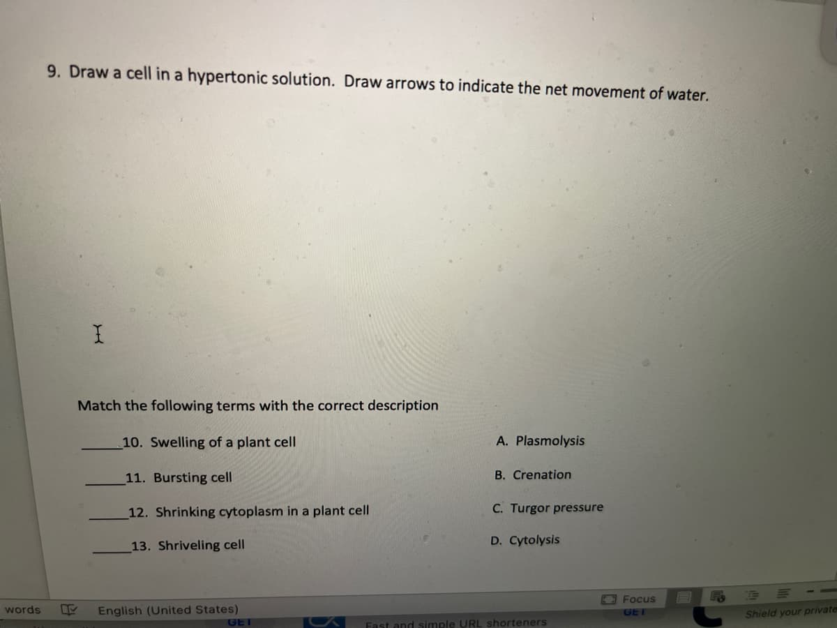 9. Draw a cell in a hypertonic solution. Draw arrows to indicate the net movement of water.
Match the following terms with the correct description
10. Swelling of a plant cell
A. Plasmolysis
11. Bursting cell
B. Crenation
12. Shrinking cytoplasm in a plant cell
C. Turgor pressure
D. Cytolysis
13. Shriveling cell
Focus
words
English (United States)
GET
Shield your private
GET
Fast and simple URL shorteners
