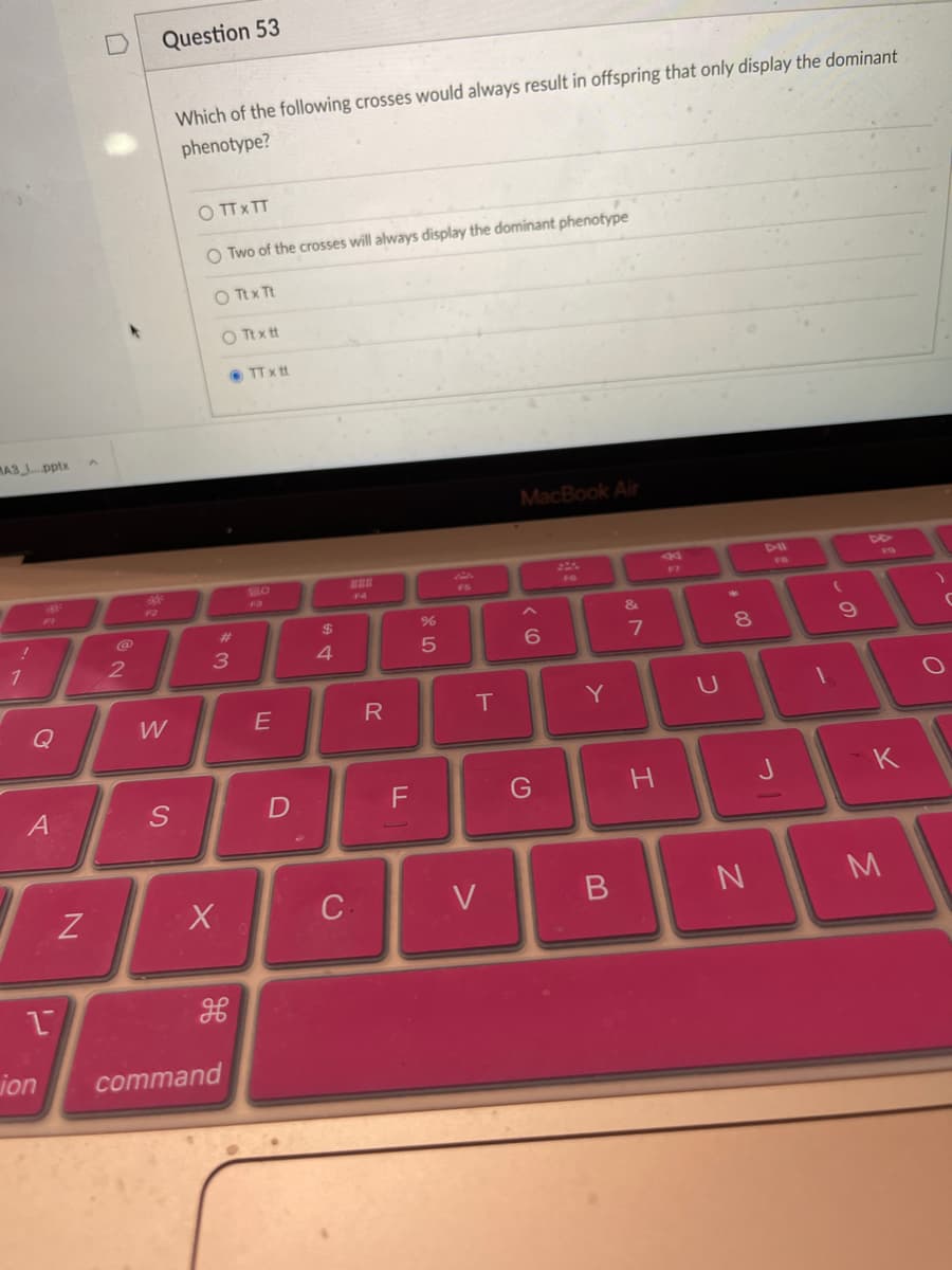 Question 53
Which of the following crosses would always result in offspring that only display the dominant
phenotype?
O TTXTT
O Two of the crosses will always display the dominant phenotype
Tt x Tt
O Tt x tt
O TT x tt
MA3 Jpptx
MacBook Air
SES
226
44
F8
FR
F3
F4
FS
23
%24
&
3
4
7
Q
W
R
T
Y
A
G
V
N
jon
command
