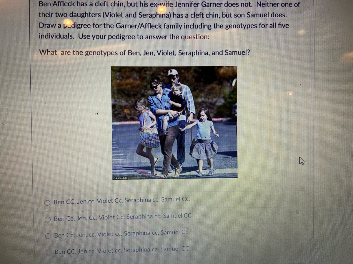 Ben Affleck has a cleft chin, but his ex-wife Jennifer Garner does not. Neither one of
their two daughters (Violet and Seraphina) has a cleft chin, but son Samuel does.
Draw a pedigree for the Garner/Affleck family including the genotypes for all five
individuals. Use your pedigree to answer the question:
What are the genotypes of Ben, Jen, Violet, Seraphina, and Samuel?
Ben CC. Jen cc. Violet Cc, Seraphina cc, Samucl CC
Ben Ce. Jen, Cc. Violet Cc. Scraphina cc, Samucl C
O Ben Cc. Jen, cc. Violet cc, Scraphina cc. Samuel Cc.
Ben CC. Jen cc. Violct cc. Seraphina cc. Samucl CC
