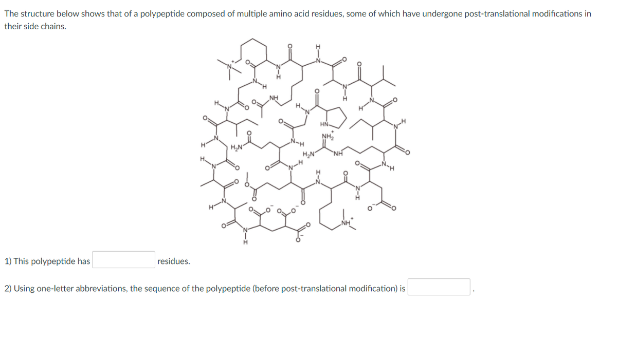 The structure below shows that of a polypeptide composed of multiple amino acid residues, some of which have undergone post-translational modifications in
their side chains.
HN-
NH2
NH
residues.
1) This polypeptide has
2) Using one-letter abbreviations, the sequence of the polypeptide (before post-translational modification) is
