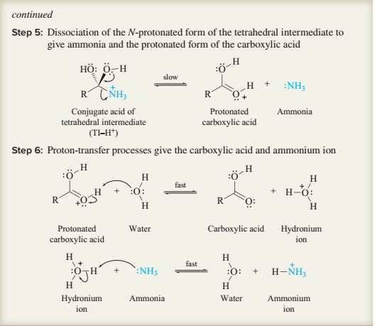 сontinued
Step 5: Dissociation of the N-protonated form of the tetrahedral intermediate to
give ammonia and the protonated form of the carboxylic acid
H
HÖ: ö-H
slow
:NH3
RCNH,
R
Conjugate acid of
tetrahedral intermediate
Protonated
Ammonia
carboxylic acid
(TI-H*)
Step 6: Proton-transfer processes give the carboxylic acid and ammonium ion
:ö
H
fast
:o:
+ H-o:
R
R
H
H.
Protonated
Water
Carboxylic acid
Hydronium
carboxylic acid
ion
H
H
fast
`:NH3
:0:
H-NH,
H
H.
Hydronium
ion
Ammonia
Water
Ammonium
ion
