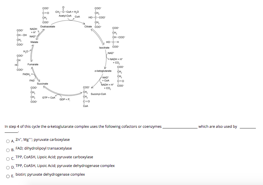 coo
CH,-č-CoA + H,0
Acetyl-CoA CoA
CH,
но-с-соо
coo
CH,
Citrate čoo
Oxaloacetate
NADH
Çoo
CH,
сн-соо
сн-он
NAD
CH,
Malate
но-с-н
Coo
Isocitrate CoO
NAD
coo
NADH + H
CH
+ co,
Fumarate
HC
Coo
CH,
CH,
a-ketoglutarate
FADH,
NAD
• COA
NADH + H
• co,
FAD
Succinate
čoo
CH,
-CH,
Succinyl-CoA
CH,
coo
GTP + COA
GDP• P.
COA
In step 4 of this cycle the a-ketoglutarate complex uses the following cofactors or coenzymes
which are also used by
O A. Zn", Mg**; pyruvate carboxylase
В.
FAD; dihydrolipoyl transacetylase
TPP, COASH, Lipoic Acid; pyruvate carboxylase
OP. TPP, COASH, Lipoic Acid; pyruvate dehydrogenase complex
O E. biotin; pyruvate dehydrogenase complex
