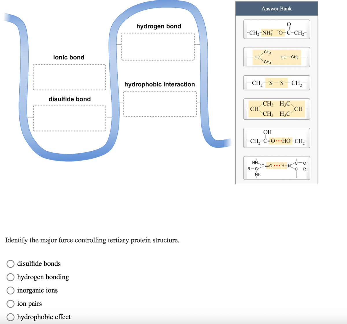 ionic bond
hydrogen bond
Answer Bank
hydrophobic interaction
disulfide bond
Identify the major force controlling tertiary protein structure.
disulfide bonds
hydrogen bonding
inorganic ions
ion pairs
Ohydrophobic effect
-CH-NHO-C-CH2-
CH3
HC
HO-CH2
CH3
-CH2-S-S-CH₂-
CH3 H3C
CH
CH-
CH3 H3C
OH
-CH2-C=OHO-CH₂-
ΗΝ.
OH-N
R-C
ΝΗ
C=O
C-R