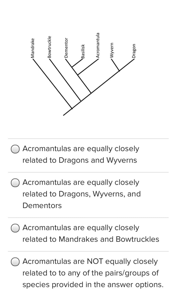 Acromantulas are equally closely
related to Dragons and Wyverns
O Acromantulas are equally closely
related to Dragons, Wyverns, and
Dementors
Acromantulas are equally closely
related to Mandrakes and Bowtruckles
O Acromantulas are NOT equally closely
related to to any of the pairs/groups of
species provided in the answer options.
Mandrake
Dragon
