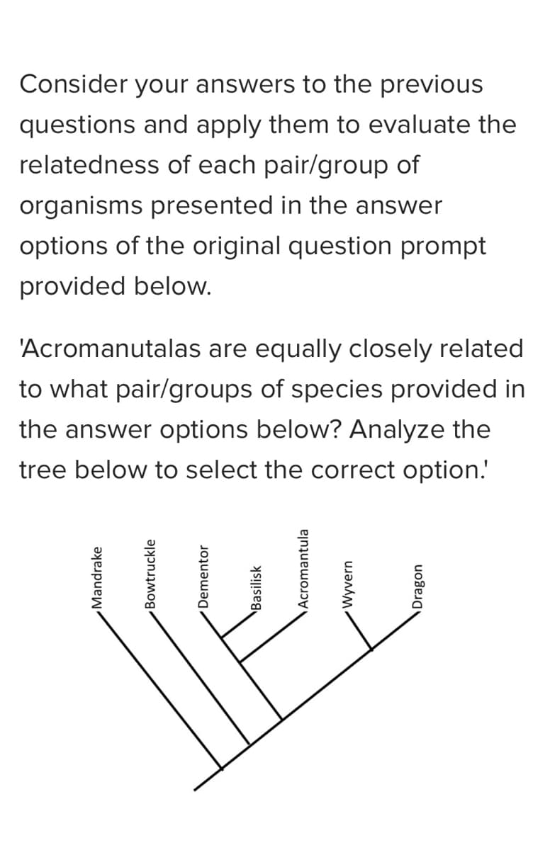 Consider your answers to the previous
questions and apply them to evaluate the
relatedness of each pair/group of
organisms presented in the answer
options of the original question prompt
provided below.
'Acromanutalas are equally closely related
to what pair/groups of species provided in
the answer options below? Analyze the
tree below to select the correct option.'
Mandrake
Bowtruckle
/Dementor
Basilisk
Acromantula
Wyvern
Dragon
