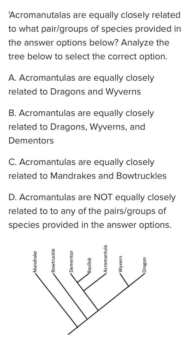 'Acromanutalas are equally closely related
to what pair/groups of species provided in
the answer options below? Analyze the
tree below to select the correct option.
A. Acromantulas are equally closely
related to Dragons and Wyverns
B. Acromantulas are equally closely
related to Dragons, Wyverns, and
Dementors
C. Acromantulas are equally closely
related to Mandrakes and Bowtruckles
D. Acromantulas are NOT equally closely
related to to any of the pairs/groups of
species provided in the answer options.
Mandrake
Bowtruckle
Dementor
\Basilisk
\Acromantula
Wyvern
Dragon
