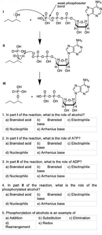 11
III
OH
OH
O=P-OH
OH
OH
O=P-OH
9
weak phosphoester
bond
99
HOP-O-P-O-P-O
OH OH OH
O-P-O-P-o
OH OH
HOH
OH OH
+HO-P-O-P-O
OH OH OH
base
e) Arrhenius base
HOH
H
base
e) Arrhenius base
OH OH
OH OH
1. In part I of the reaction, what is the role of alcohol?
a) Brønsted acid b)
Brønsted c) Electrophile
d) Nucleophile
2. In part I of the reaction, what is the role of ATP?
a) Brønsted acid b)
d) Nucleophile
3. In part II of the reaction, what is the role of ADP?
a) Brønsted acid b)
base
d) Nucleophile e) Arrhenius base
NH₂
NH₂
Brønsted c) Electrophile
Brønsted c) Electrophile
4. In part II of the reaction, what is the role of the
phosphorylated alcohol?
a) Brønsted acid b) Brønsted c) Electrophile
base
d) Nucleophile
e) Arrhenius base
5. Phosphorylation of alcohols is an example of
a) Addition
d)
Rearrangement
NH₂
b) Substitution c) Elimination
e) Redox