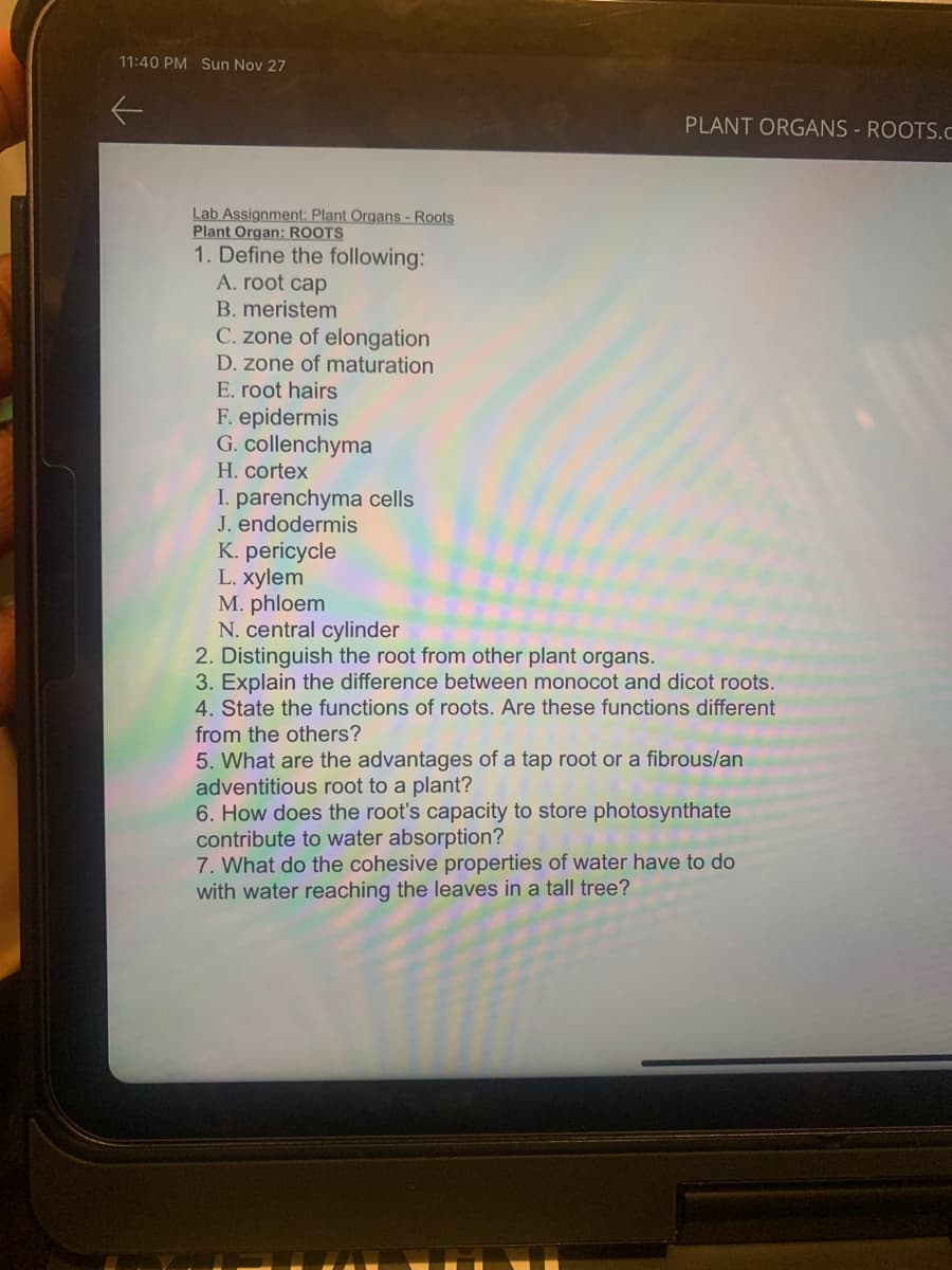 11:40 PM Sun Nov 27
Lab Assignment: Plant Organs - Roots
Plant Organ: ROOTS
1. Define the following:
A. root cap
B. meristem
C. zone of elongation
D. zone of maturation
E. root hairs
F. epidermis
G. collenchyma
H. cortex
I. parenchyma cells
J. endodermis
K. pericycle
L. xylem
M. phloem
N. central cylinder
PLANT ORGANS - ROOTS.C
2. Distinguish the root from other plant organs.
3. Explain the difference between monocot and dicot roots.
4. State the functions of roots. Are these functions different
from the others?
5. What are the advantages of a tap root or a fibrous/an
adventitious root to a plant?
6. How does the root's capacity to store photosynthate
contribute to water absorption?
7. What do the cohesive properties of water have to do
with water reaching the leaves in a tall tree?