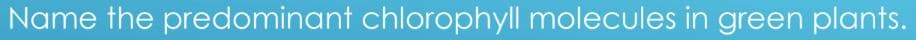 Name the predominant chlorophyll molecules in green plants.
