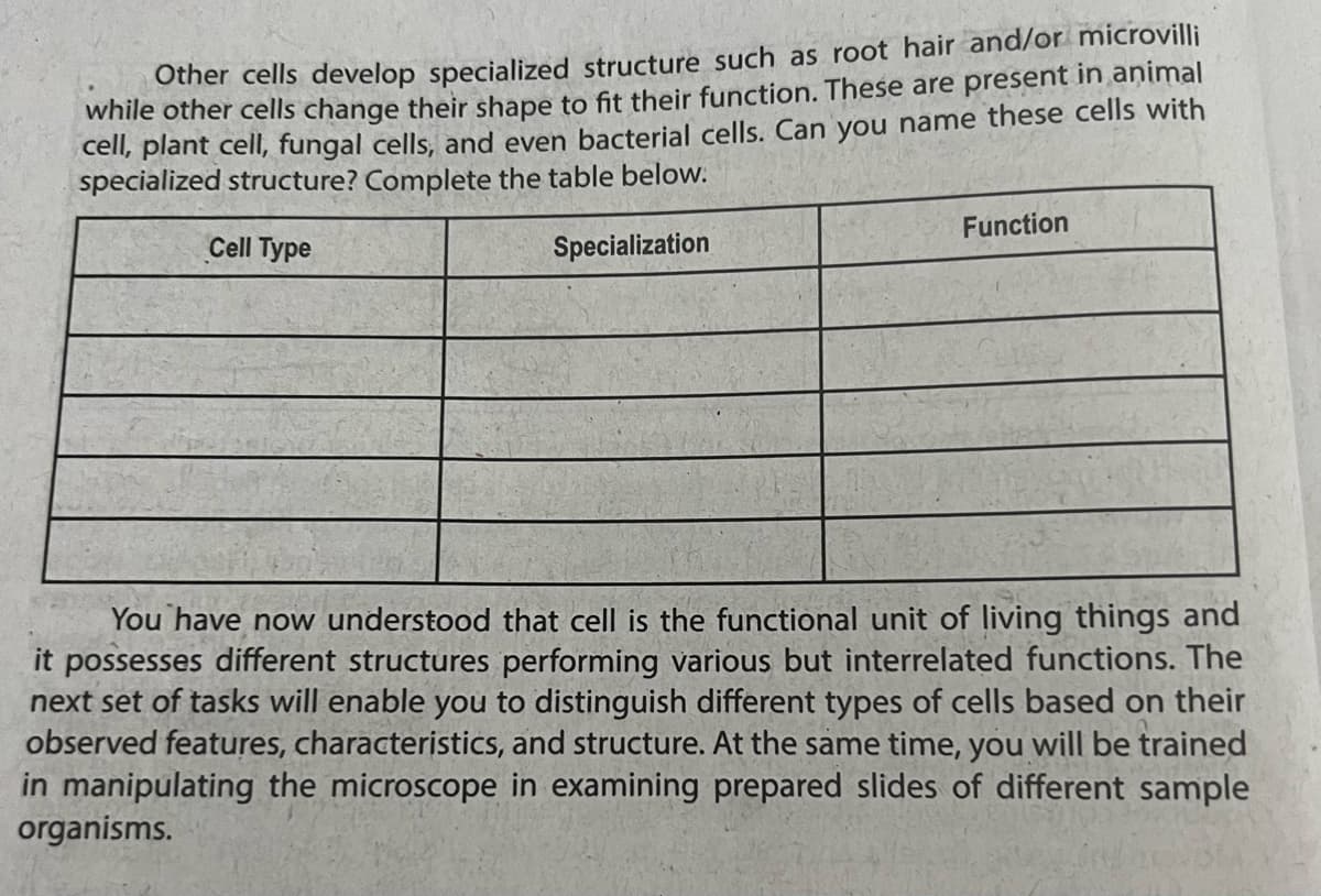 Other cells develop specialized structure such as root hair and/or microvilli
while other cells change their shape to fit their function. These are present in animal
cell, plant cell, fungal cells, and even bacterial cells. Can you name these cells with
specialized structure? Complete the table below.
Cell Type
Specialization
Function
You have now understood that cell is the functional unit of living things and
it possesses different structures performing various but interrelated functions. The
next set of tasks will enable you to distinguish different types of cells based on their
observed features, characteristics, and structure. At the same time, you will be trained
in manipulating the microscope in examining prepared slides of different sample
organisms.