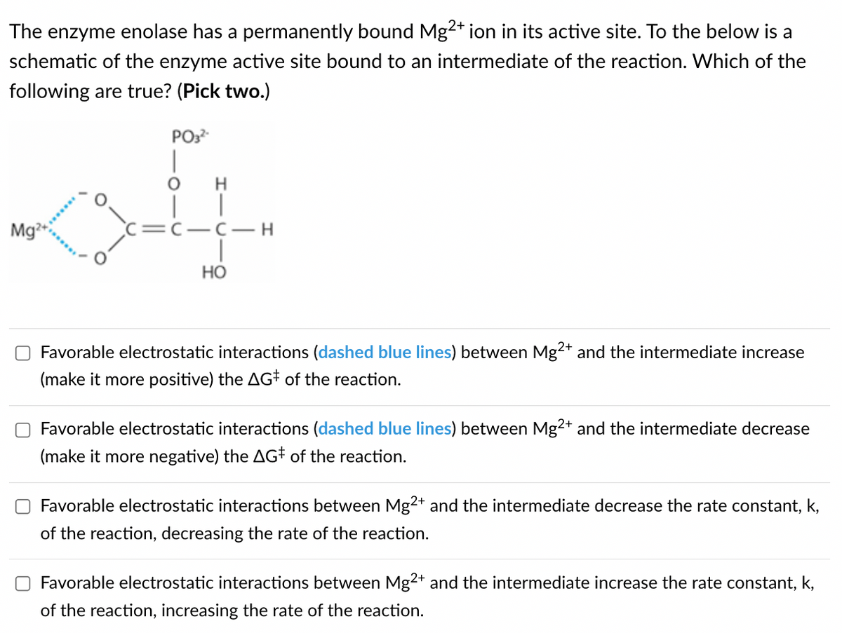 The enzyme enolase has a permanently bound Mg2+ ion in its active site. To the below is a
schematic of the enzyme active site bound to an intermediate of the reaction. Which of the
following are true? (Pick two.)
PO32-
Н
Mg2
C C H
HO
Favorable electrostatic interactions (dashed blue lines) between Mg2+ and the intermediate increase
(make it more positive) the AG of the reaction.
Favorable electrostatic interactions (dashed blue lines) between Mg2+ and the intermediate decrease
(make it more negative) the AG of the reaction.
Favorable electrostatic interactions between Mg2+ and the intermediate decrease the rate constant, k,
of the reaction, decreasing the rate of the reaction.
Favorable electrostatic interactions between Mg2+ and the intermediate increase the rate constant, k,
of the reaction, increasing the rate of the reaction.