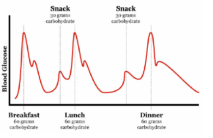 Snack
Snack
30 grams
carbohydrate
30 grams
carbohydrate
Breakfast
60 grams
carbohydrate
Lunch
60 grams
carbohydrate
Dinner
60 grams
carbohydrate
Blood Glucose
