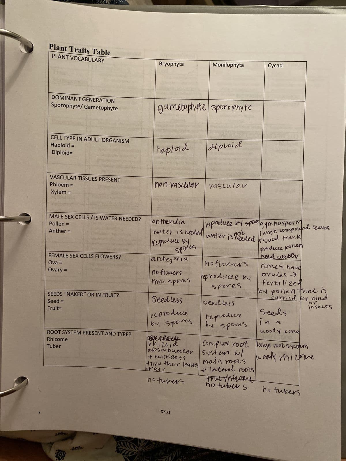 Plant Traits Table
PLANT VOCABULARY
DOMINANT GENERATION
Sporophyte/Gametophyte
CELL TYPE IN ADULT ORGANISM
Haploid =
Diploid=
VASCULAR TISSUES PRESENT
Phloem =
Xylem =
MALE SEX CELLS/ IS WATER NEEDED?
Pollen =
Anther =
FEMALE SEX CELLS FLOWERS?
Ova =
Ovary =
SEEDS "NAKED" OR IN FRUIT?
Seed =
Fruit=
ROOT SYSTEM PRESENT AND TYPE?
Rhizome
Tuber
Lo
Bryophyta
gametophyte sporophyte
haploid
non-vascular
antheridia
water is needed
reproduce by
spores
archegonia
no flowers
thru spores
Seedless
reproduce
by spores
Monilophyta
no tubers
xxxi
diploid
vascular
reproduce by spore gymnosperm
not
Cycad
large compound leaves
water is needed kwood trink
noflowers
reproducee by
spores
seedless
reproduce
by spores
produce poiler
need water
Cones have
ovules →
fertilized
by pollen that is
carried by nind
or
insects
vhizo
beeeeeeey
Complex root large roots
absorbwater system w/
+ hutnents
thru their leaves
lair
main roots
+ lateral roots
true rhizome
no tubers
Seeds
in a
woody cone
system
woody rhizome
ho tubers