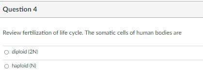 Question 4
Review fertilization of life cycle. The somatic cells of human bodies are
O diploid (2N)
O haploid (N)
