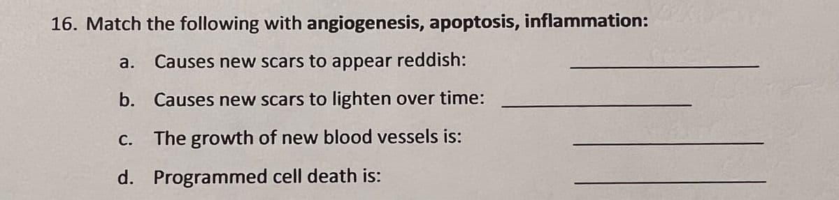 16. Match the following with angiogenesis, apoptosis, inflammation:
a. Causes new scars to appear reddish:
b.
Causes new scars to lighten over time:
The growth of new blood vessels is:
C.
d. Programmed cell death is: