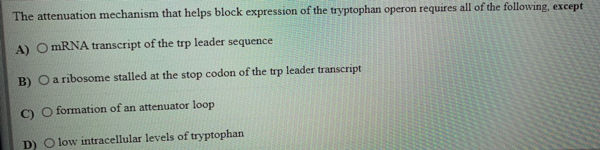 The attenuation mechanism that helps block expression of the tryptophan operon requires all of the following, except
A) O MRNA transcript of the trp leader sequence
B) Oaribosome stalled at the stop codon of the trp leader transcript
C) O formation of an attenuator loop
D) O low intracellular levels of tryptophan
