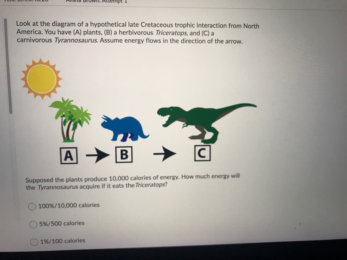 Look at the diagram of a hypothetical late Cretaceous trophic interaction from North
America. You have (A) plants, (B) a herbivorous Triceratops, and (C) a
carnivorous Tyrannosaurus. Assume energy flows in the direction of the arrow.
A
B
|C
Supposed the plants produce 10,000 calories of energy. How much energy will
the Tyrannosaurus acquire if it eats the Triceratops?
100%/10,000 calories
5%/500 calories
1%/100 calories
