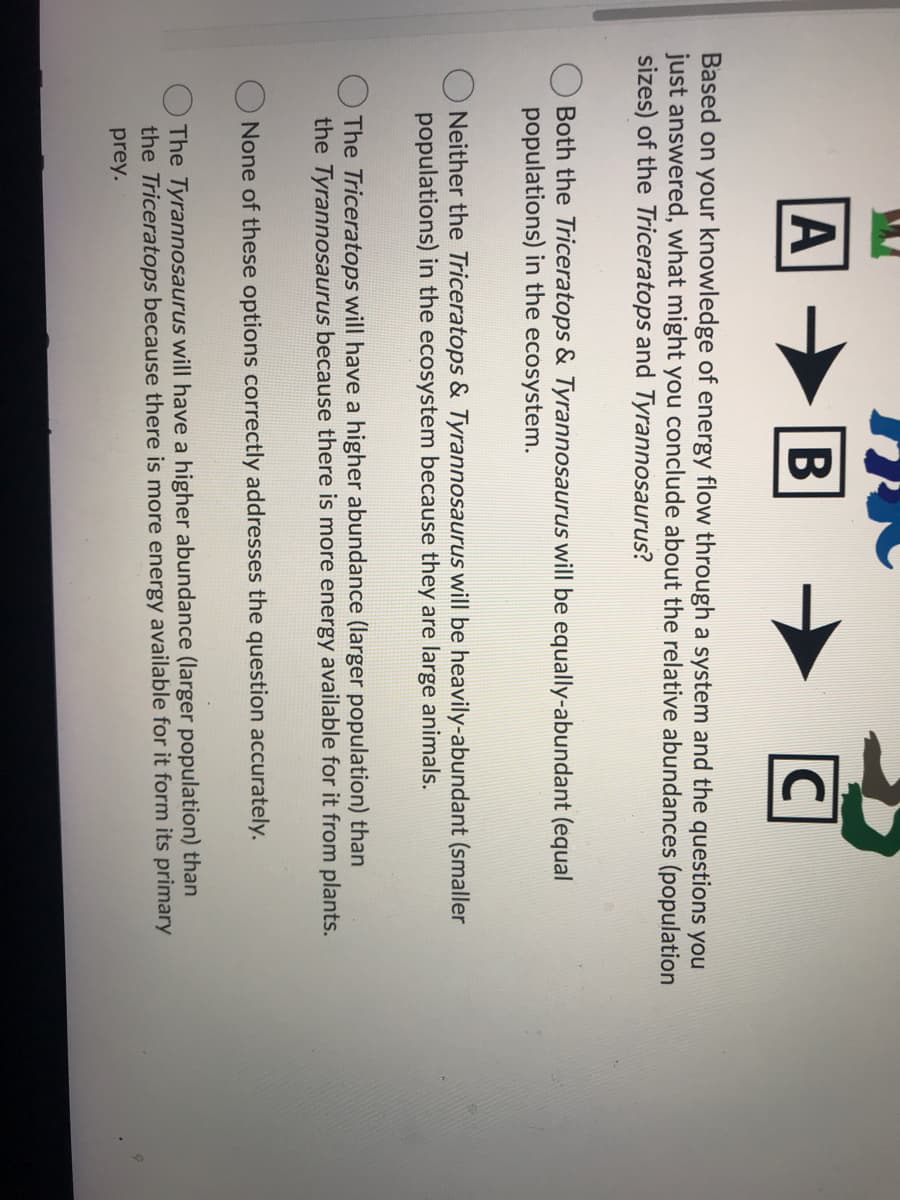 B
Based on your knowledge of energy flow through a system and the questions you
just answered, what might you conclude about the relative abundances (population
sizes) of the Triceratops and Tyrannosaurus?
Both the Triceratops & Tyrannosaurus will be equally-abundant (equal
populations) in the ecosystem.
Neither the Triceratops & Tyrannosaurus will be heavily-abundant (smaller
populations) in the ecosystem because they are large animals.
O The Triceratops will have a higher abundance (larger population) than
the Tyrannosaurus because there is more energy available for it from plants.
None of these options correctly addresses the question accurately.
The Tyrannosaurus will have a higher abundance (larger population) than
the Triceratops because there is more energy available for it form its primary
prey.
