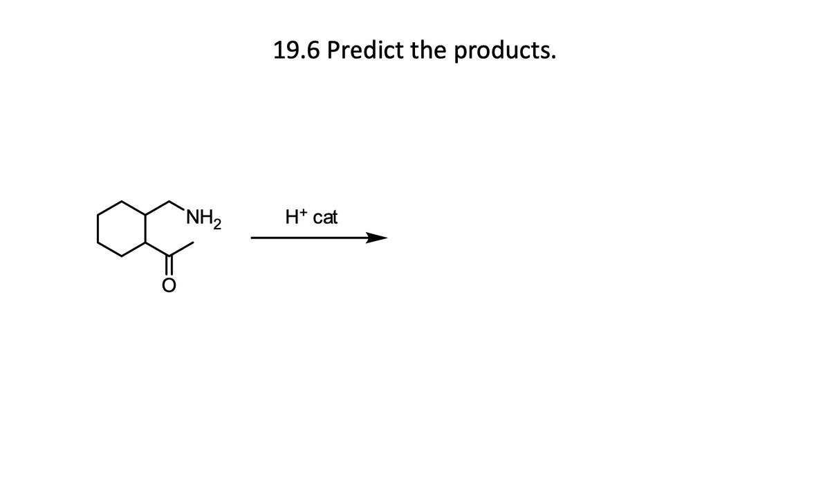 NH₂
19.6 Predict the products.
H+ cat