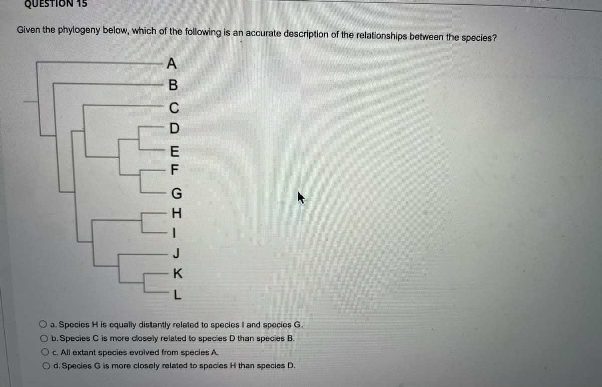 QUESTION 15
Given the phylogeny below, which of the following is an accurate description of the relationships between the species?
K
O a. Species H is equally distantly related to species I and species G.
O b. Species C is more closely related to species D than species B.
O c. All extant species evolved from species A.
O d. Species G is more closely related to species H than species D.
A BC D EF GH
