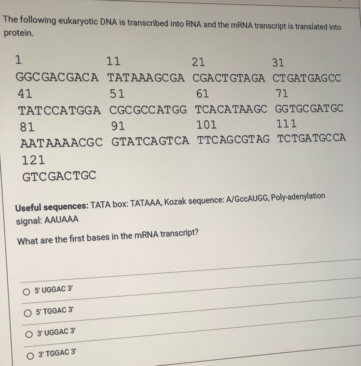 The following eukaryotic DNA is transcribed into RNA and the mRNA transcript is translated into
protein.
1
GGC GAC GACA TATAAAGCGA
41
TATCCATGGA
81
AATAAAACGC
121
GTCGAC TGC
5' UGGAC 3'
5' TGGAC 3'
3' UGGAC 3'
11
O 3' TGGAC 3'
51
CGCGCCATGG
21
91
CGACTGTAGA
61
Useful sequences: TATA box: TATAAA, Kozak sequence: A/GccAUGG, Poly-adenylation
signal: AAUAAA
What are the first bases in the mRNA transcript?
TCACATAAGC GGTGC GAT GC
111
GTATCAGTCA TTCAGCGTAG TCTGATGC CA
31
CT GAT GAGCC
71
101