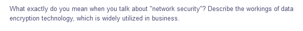 What exactly do you mean when you talk about "network security"? Describe the workings of data
encryption technology, which is widely utilized in business.
