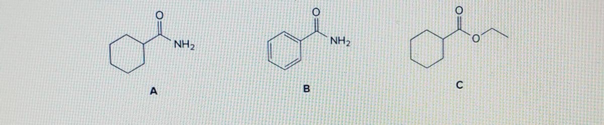 NH2
NH2
C
A
