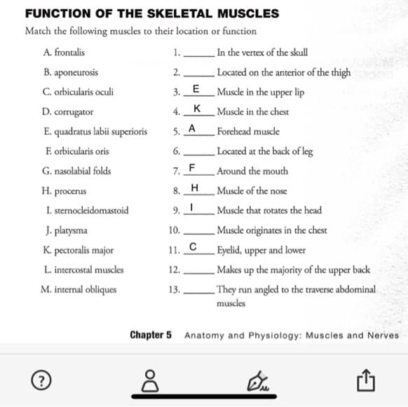 FUNCTION OF THE SKELETAL MUSCLES
Match the following muscles to their location or function
A. frontalis
B. aponeurosis
C. orbicularis oculi
D. corrugator
E. quadratus labii superioris
F. orbicularis oris
G. nasolabial folds
H. procerus
I. sternocleidomastoid
J.
platysma
K. pectoralis major
L. intercostal muscles
M. internal obliques
?
1.
2.
3.
4.
5. A
8
E
K
6.
7. F
8. H
9. I
10.
11. C
12.
13.
In the vertex of the skull
Located on the anterior of the thigh
Muscle in the upper lip
Muscle in the chest
Forehead muscle
Located at the back of leg
Around the mouth
Muscle of the nose
Muscle that rotates the head
Muscle originates in the chest
Eyelid, upper and lower
Makes up the majority of the upper back
They run angled to the traverse abdominal
muscles
Chapter 5 Anatomy and Physiology: Muscles and Nerves
Eu
s