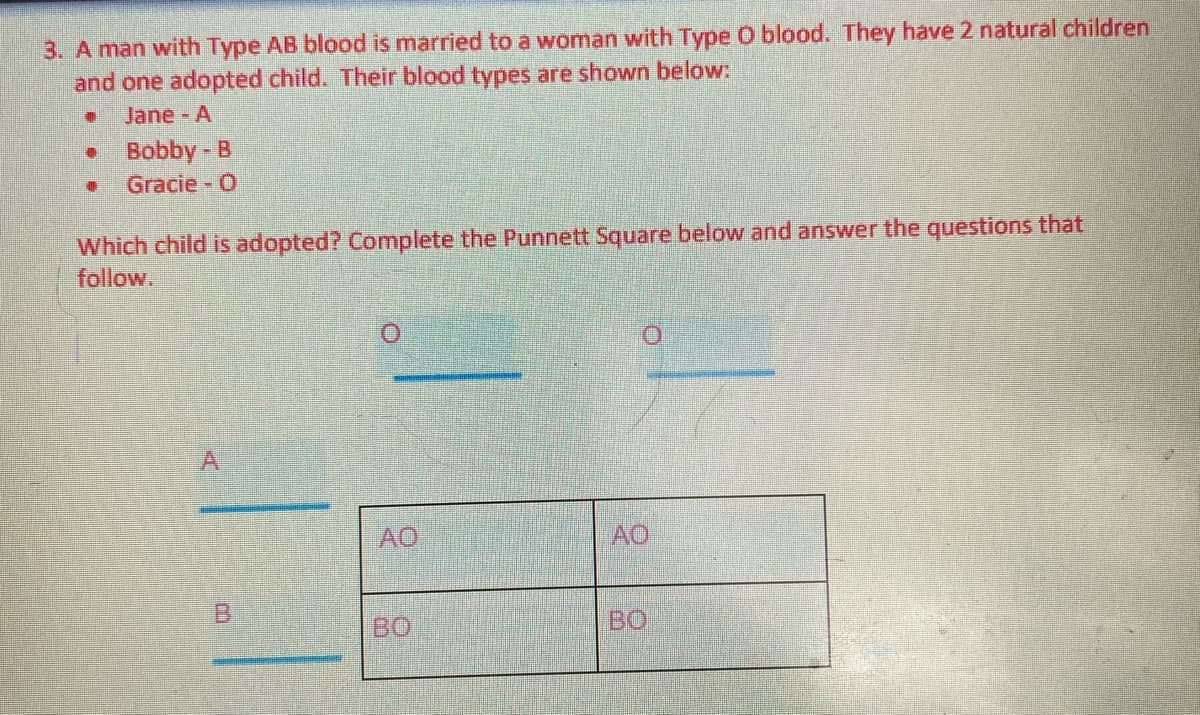 3. A man with Type AB blood is married to a woman with Type O blood. They have 2 natural children
and one adopted child. Their blood types are shown below:
Jane A
Bobby - B
Gracie - 0
Which child is adopted? Complete the Punnett Square below and answer the questions that
follow.
AO
AO
B.
BO
BO
