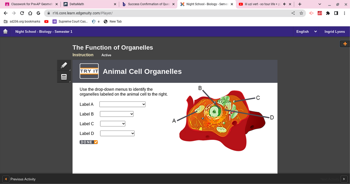 ←
Classwork for Pre-AP Geometr X
→ C D G
sd206.org bookmarks ►
DeltaMath
◄ Previous Activity
r16.core.learn.edgenuity.com/player/
Supreme Court Cas... Be New Tab
Night School - Biology - Semester 1
The Function of Organelles
Instruction Active
Success Confirmation of Ques
TRY IT Animal Cell Organelles
Use the drop-down menus to identify the
organelles labeled on the animal cell to the right.
Label A
Label B
Label C
Label D
DONE
A
Night School - Biology - Semes x
B
SUD
► lil uzi vert - xo tour life + p
с
D
¹×
+
English
129
X
* 0:
Ingrid Lyons
Next Activity
+