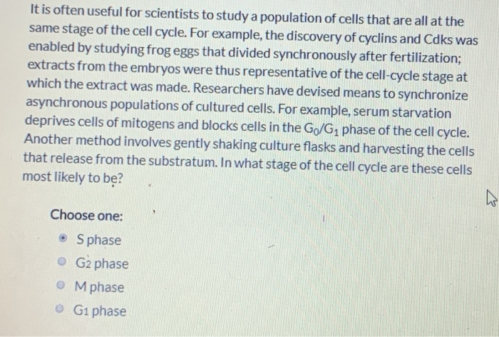 It is often useful for scientists to study a population of cells that are all at the
same stage of the cell cycle. For example, the discovery of cyclins and Cdks was
enabled by studying frog eggs that divided synchronously after fertilization;
extracts from the embryos were thus representative of the cell-cycle stage at
which the extract was made. Researchers have devised means to synchronize
asynchronous populations of cultured cells. For example, serum starvation
deprives cells of mitogens and blocks cells in the Go/G₁ phase of the cell cycle.
Another method involves gently shaking culture flasks and harvesting the cells
that release from the substratum. In what stage of the cell cycle are these cells
most likely to be?
Choose one:
• Sphase
G2 phase
M phase
G1 phase
A