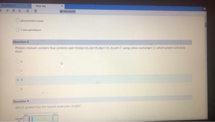 New Tab
HILP CENTE
phenylisuthiocyanate
2-mercaptoethanel
Question 8
Protein mixture contains four proteins atpl=4).b(pl=6).clpi-9).d(pt-11). At pH=7, using cation exchanger (-), which protein will elute
first?
Oa
d
Question 9
Which protein has the lowest molecular weight?
Low p
