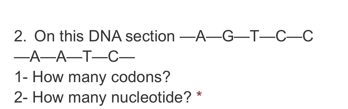 2. On this DNA section -A-G-T-C-C
-A-A-T-C-
1- How many codons?
2- How many nucleotide? *
