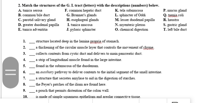 structure located deep in the lamina propria of stomach.
a thickening of the circular muscle layer that controls the movement of chyme
_ collects contents from cystic đuct and delivers to main pancreatic duct.
1.
