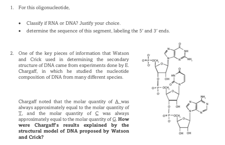 1. For this oligonucleotide,
• Classify if RNA or DNA? Justify your choice.
• determine the sequence of this segment, labeling the 5' and 3' ends.
NH
2. One of the key pieces of information that Watson
and Crick used in determining the secondary
structure of DNA came from experiments done by E.
Chargaff, in which he studied the nucleotide
composition of DNA from many different species.
0=P-oCH,
NH,
HN
OH
0=P-OCH,
NH,
Chargaff noted that the molar quantity of A_was
always approximately equal to the molar quantity of
T. and the molar quantity of C was always
approximately equal to the molar quantity of G. How
were Chargaff's results explained by the
structural model of DNA proposed by Watson
and Crick?
OH
0=P-OCH,
он он
