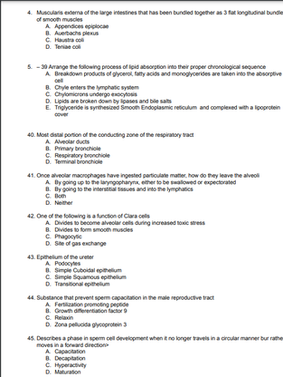 4. Muscularis externa of the large intestines that has been bundied together as 3 fat longhudinal bundie
of smooth muscles
A Appendices epiplocae
B. Auertachs plenus
C. Haustra col
D. Teniae col
5 - 30 Arange the folowing process of ipid absorption into their proper chronological sequence
A Breakdown products of glycerol, fatty acids and monoglycerides are taken into the absorptive
B. Chyle enters the lymphatic system
C. Chylomicrons undergo exocytosis
D. Lipids are broken down by lpases and bile salts
E. Tiglyceride is syrthesized Smoon Endoplasmic reticulum and complexed with a lipoprotein
cell
cover
40. Most datal portion of he conducting zone of the respiratory tract
A Alveolar ducts
B. Primary bronchiole
C. Respiratory bronchiole
D. Terminal bronchiole
41. Once alveolar macrophages have ingested particulate mater, how do they leave the alveoli
A By going up to the laryngopharynx either to be salowed or expectorated
B. By going to the interstitial tissues and into the lymphatics
C. Both
D. Neither
42. One of the following is a function of Clara cels
A Divides to become alveolar cells during increased toxic stress
B. Divides to form smooth musdes
C. Phagocytie
D. Ste of gas exchange
43. Epithelum of he ureter
A Podocytes
C. Simple Squamous epithelium
D. Transitional epithelum
4. Substance that prevent spem capacitation in the male reproductive tract
A Fertilization promoting pepide
B. Growth diferentiation factor 9
C. Relaxin
D. Zona pelucida glycoprotein 3
45. Describes a phase in spem cell development when tno longer tavels in a ciroular manner bur rathe
moves in a forward direction
A Capacitation
B. Decapitation
C. Hyperactvity
D. Maturation
