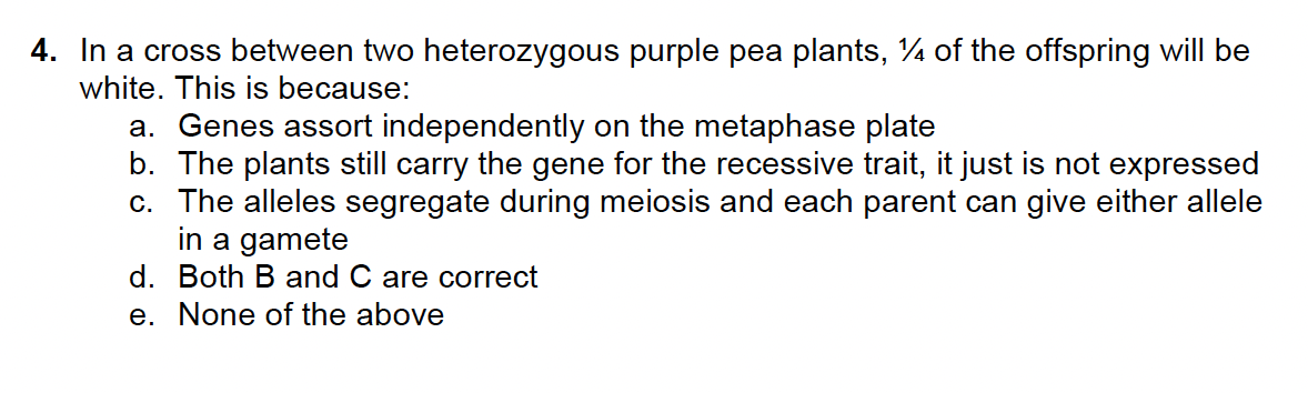 4. In a cross between two heterozygous purple pea plants, ¼ of the offspring will be
white. This is because:
a. Genes assort independently on the metaphase plate
b. The plants still carry the gene for the recessive trait, it just is not expressed
c. The alleles segregate during meiosis and each parent can give either allele
in a gamete
d. Both B and C are correct
e. None of the above
