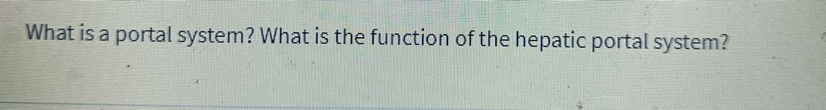 What is a portal system? What is the function of the hepatic portal system?